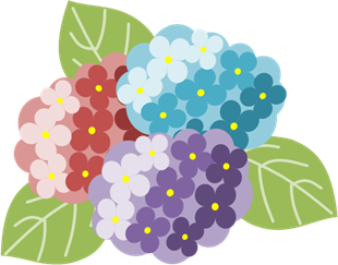 あじさいのイラスト