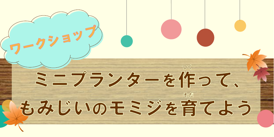 もみじいのモミジを育てよう