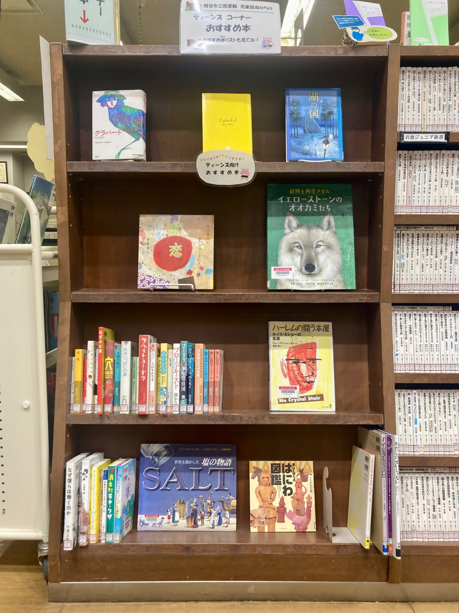 ティーンズおすすめ本(展示写真) ティーンズおすすめ本(展示写真)