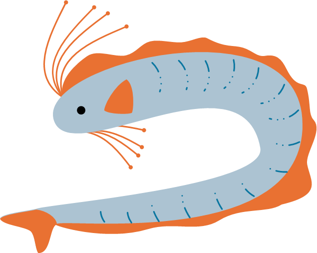 リュウグウノツカイ リュウグウノツカイ
